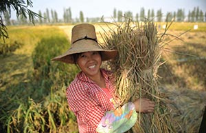 Chinese farmers plant a chemical-free future