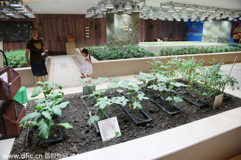 Urban farming in a high-end shopping mall