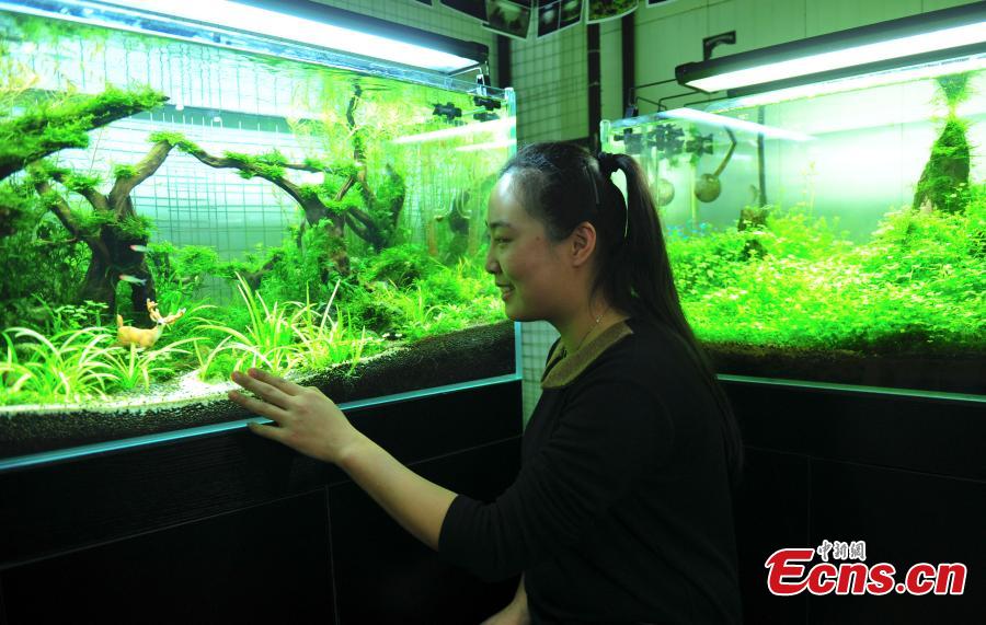 'Forest' in tank helps improve indoor environment