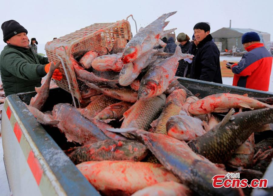 Xinjiang lake in bumper fishing season