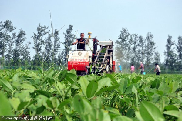 China to speed up agri modernization through reforms, innovations