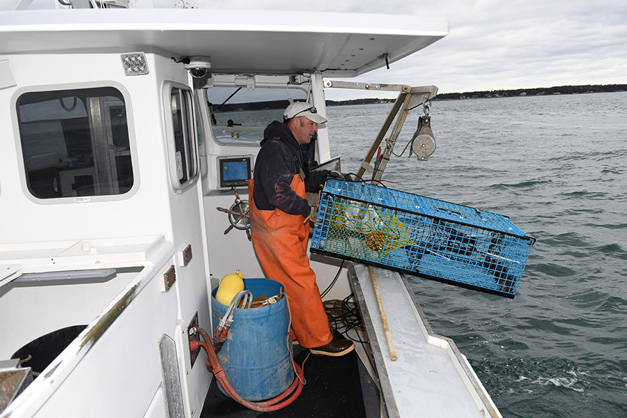 How Chinese gave new life to Maine lobsters