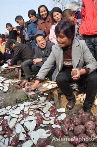 Sweet potatoes bring profit and fun to village