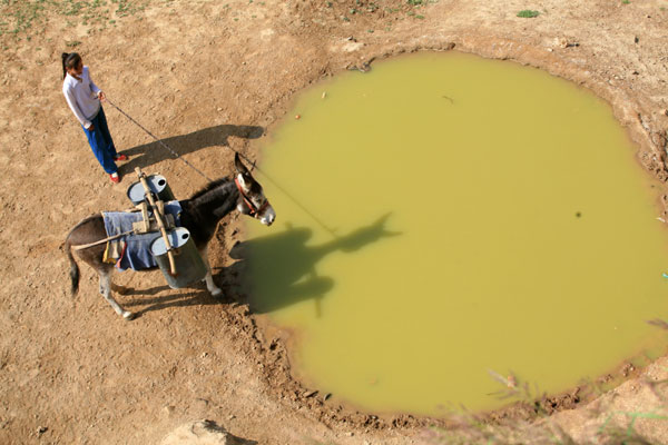 Ningxia tests answer to chronic water shortage