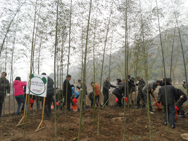 Shangri-La's Care for Panda project takes root in Sichuan