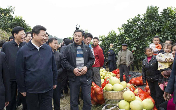 Xi makes poverty relief trip to Hunan