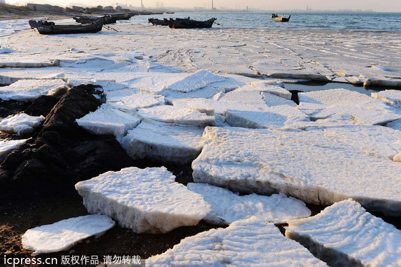 Sea of ice along China's east coast