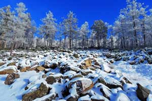 China's white winter