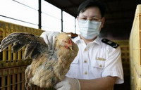 S China reports 4 more H7N9 deaths