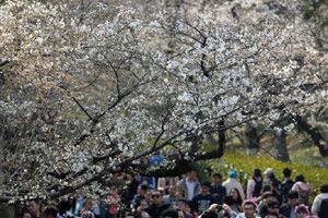 Rainfalls to sweep S China