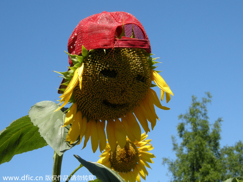 Heat wave hits Beijing