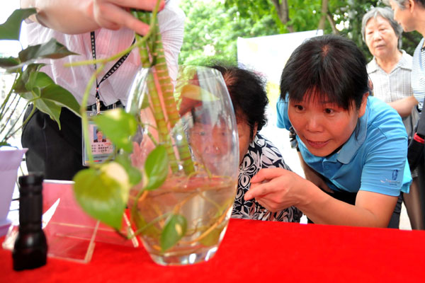 Guangzhou tackles dengue fever outbreak