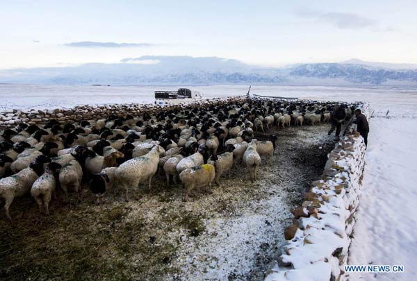 Cold front hits Xinjiang, NW China