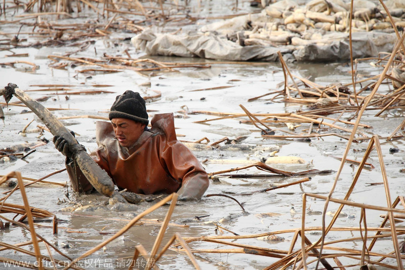 2014 Yearender: Keeping their noses to the grindstone