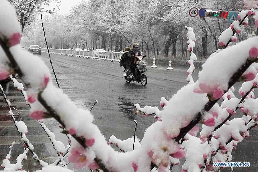 Snowfall hits Xinjiang