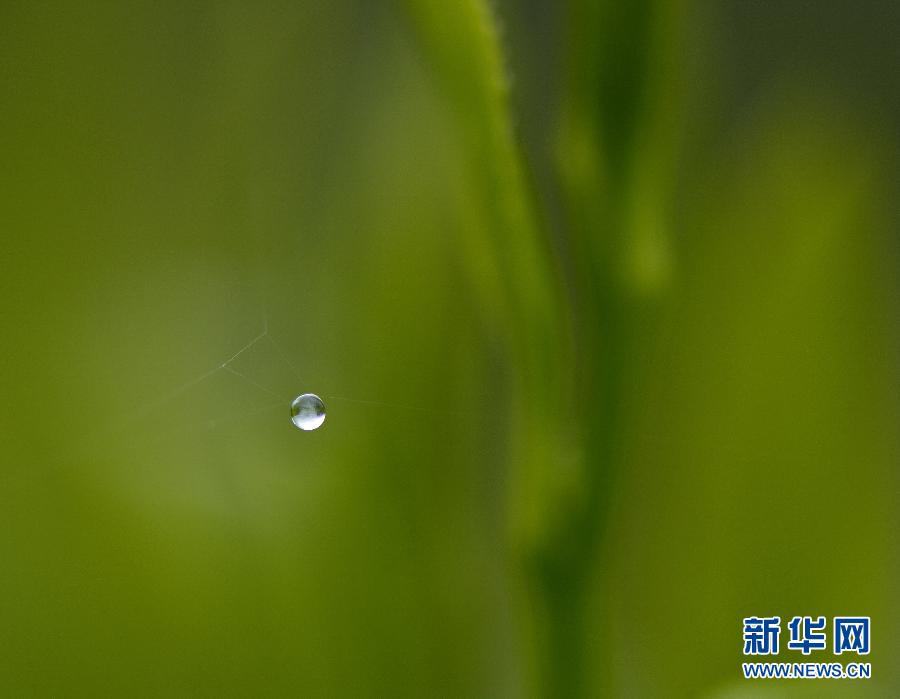 April blooms across China