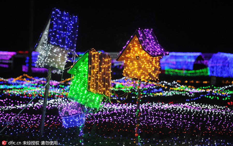 Millions of LED lights to create a dreamy world