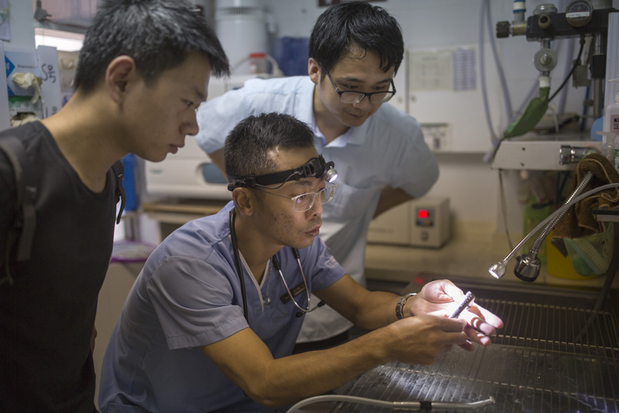 3D-printing helps red-crowned crane get new beak