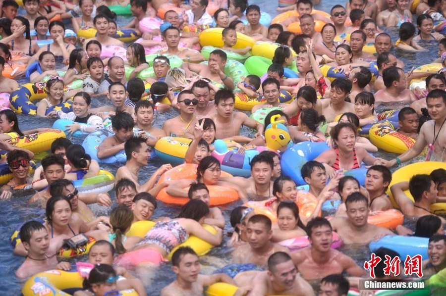 Cooling off in pool to escape heat