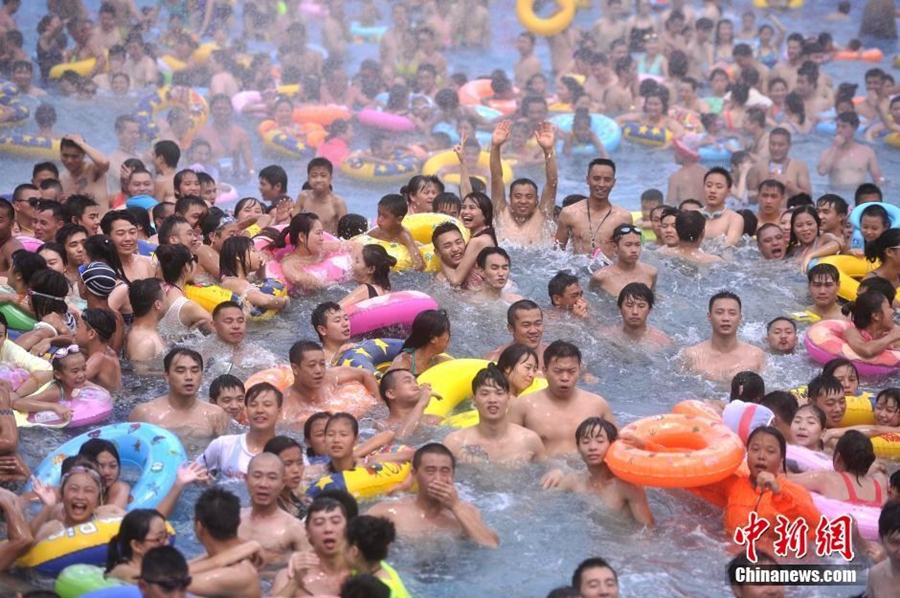 Cooling off in pool to escape heat