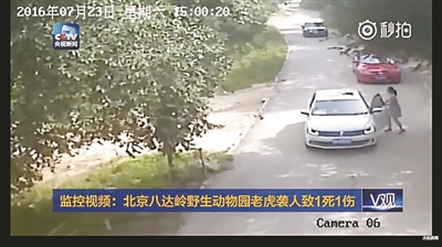 Woman mauled to death by tiger in Beijing animal park