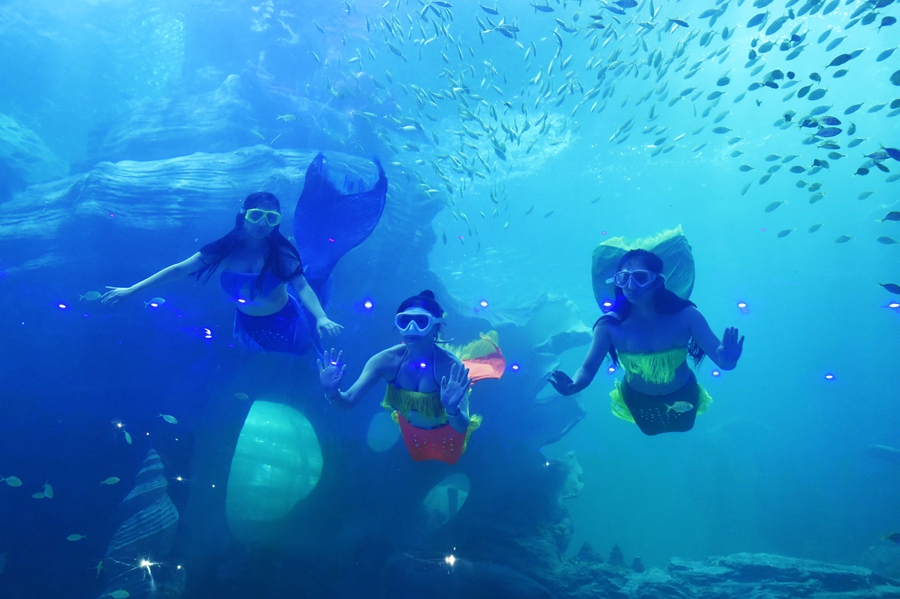 'Mermaids', dancers and whales create a splash at Guizhou's ocean park