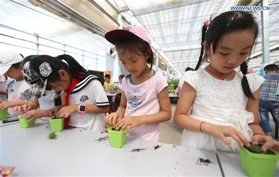 Primary school students given class at agricultural demonstration base