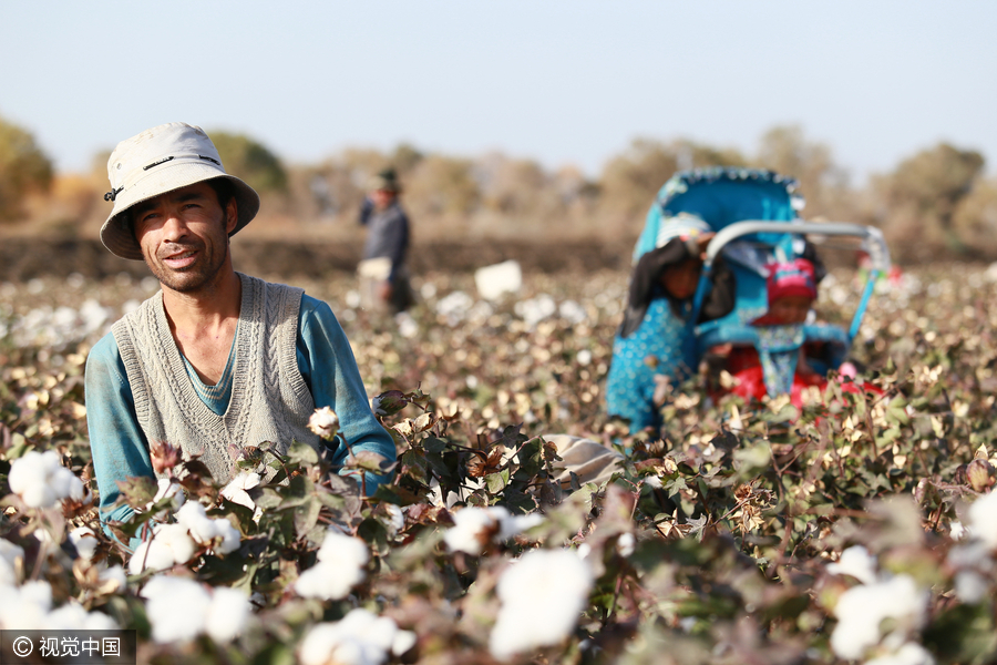 400,000 migrant workers flock to Xinjiang to harvest cotton