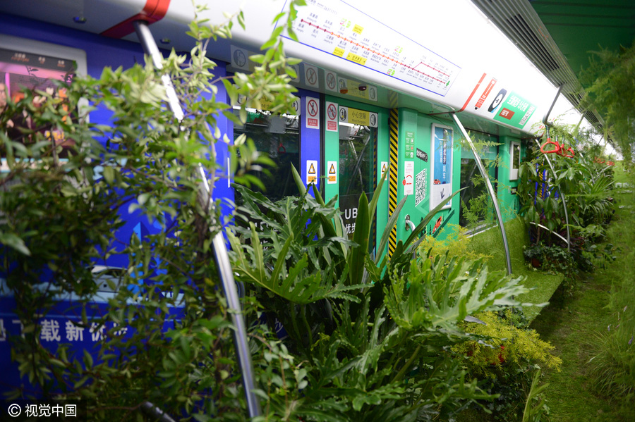 'Forest subway' in Hangzhou