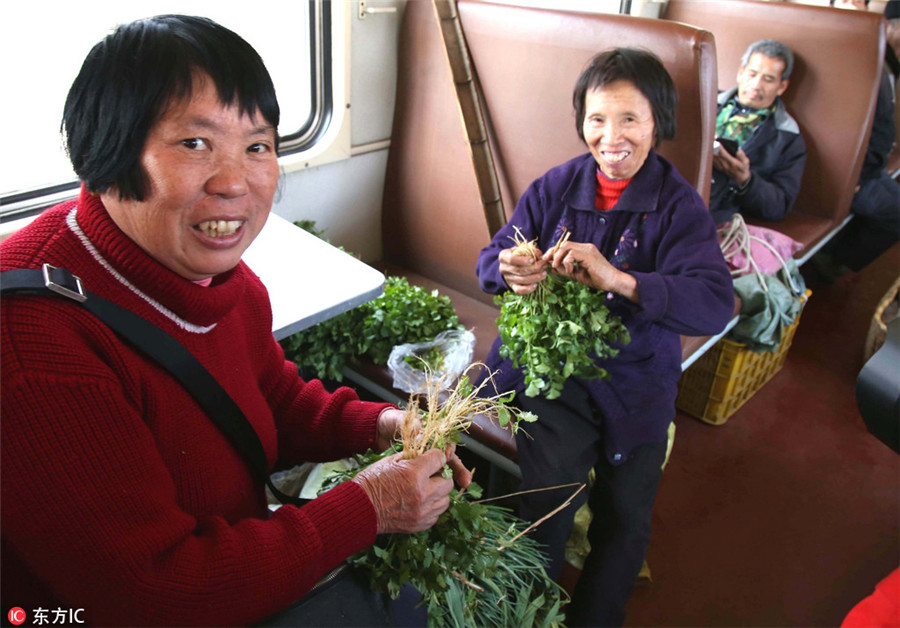 Heart-warming railway track offers free rides to passengers