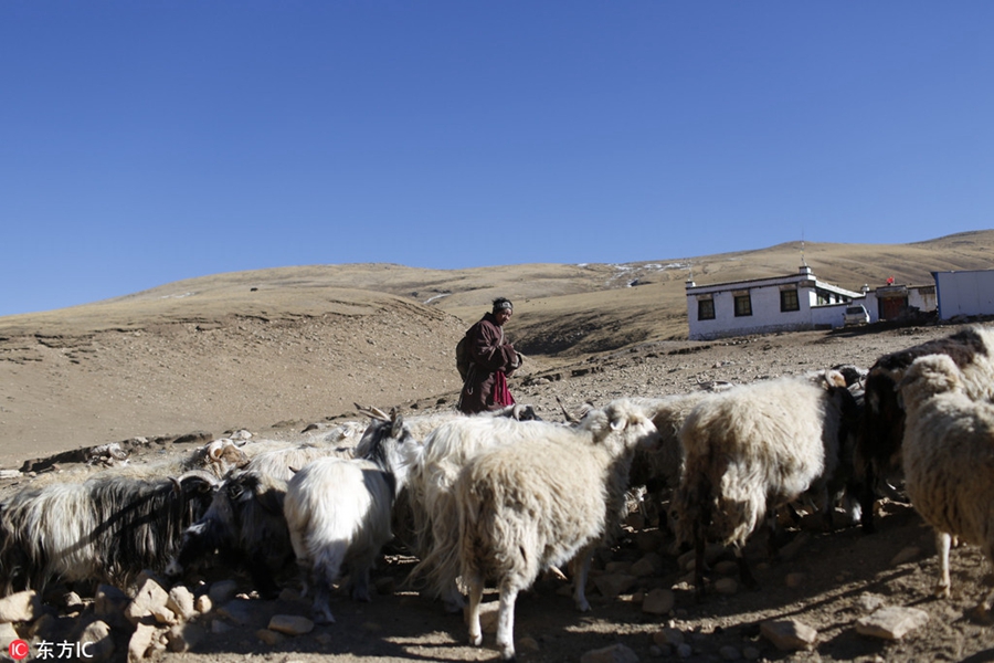 Doctor travels by horse to treat Tibetan villagers for 24 years