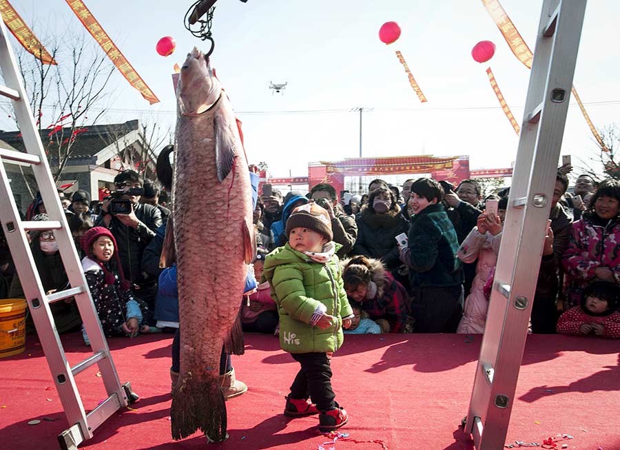 Ten photos from around China: Jan 20-26