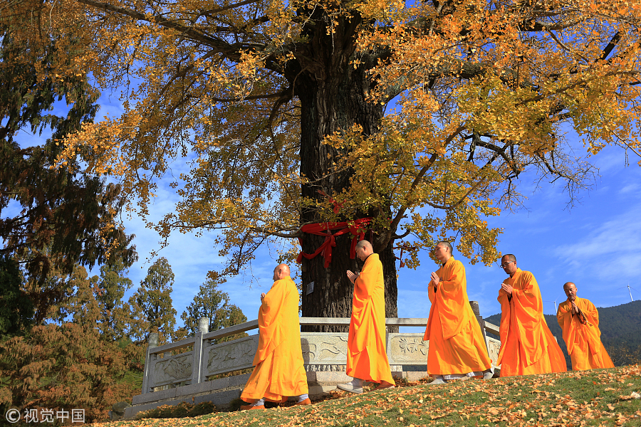 Ten photos from across China: Nov 3 - Nov 9