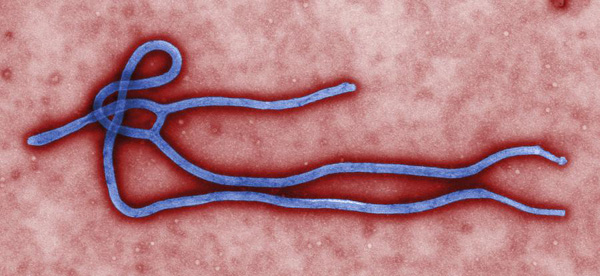 China beefs up steps against Ebola