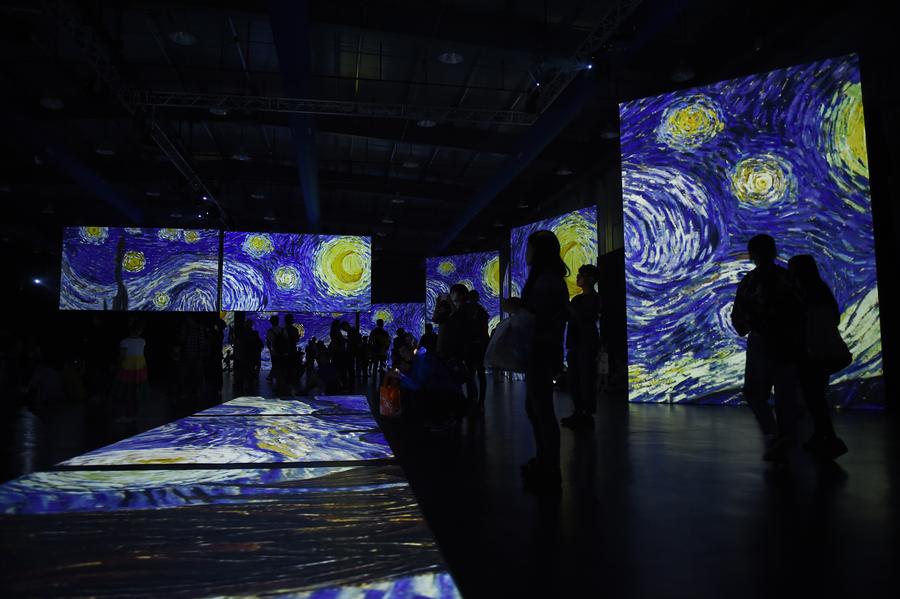 Visitors enjoy Van Gogh works via multimedia in Hangzhou