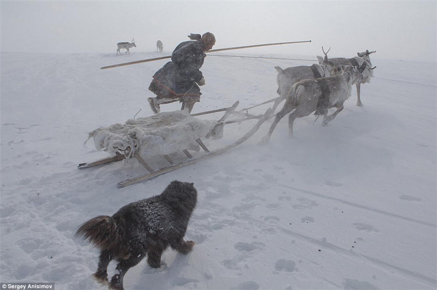 Photograph portraying Chinese fishermen wins top prize