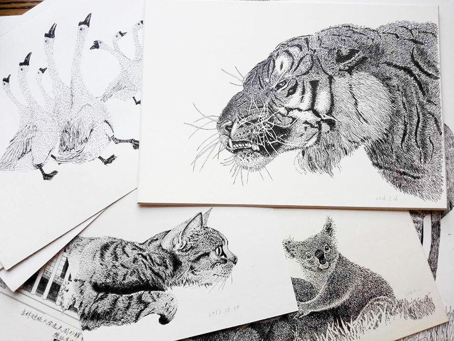 Jilin teacher creates 300 pictures with pen drawing