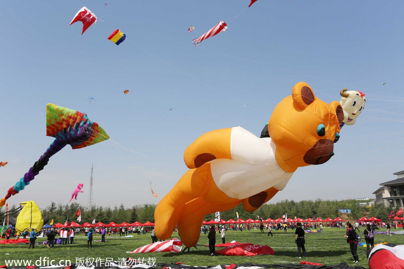 Weifang hosts annual kite festival