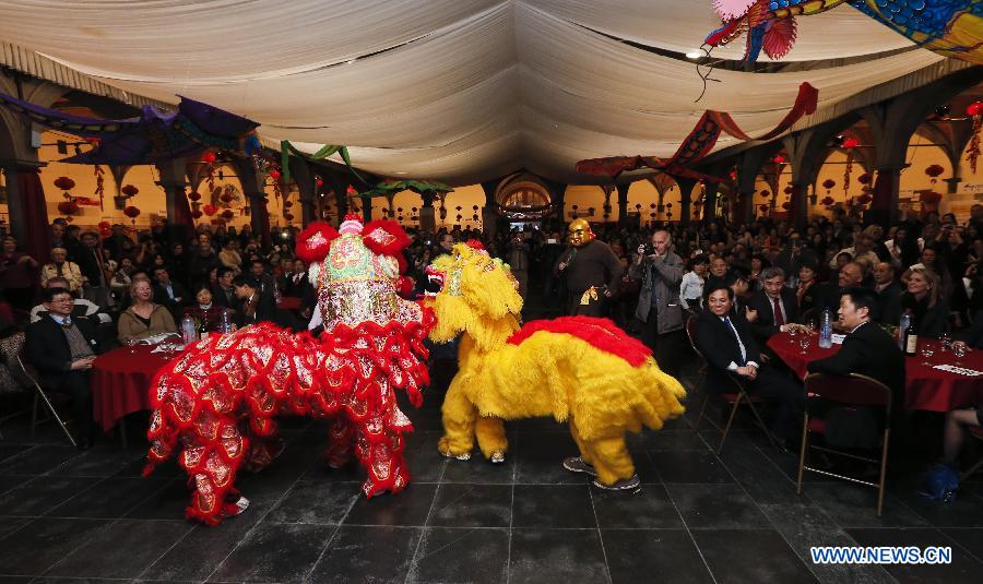 Gala celebrating Chinese New Year held in Belgium