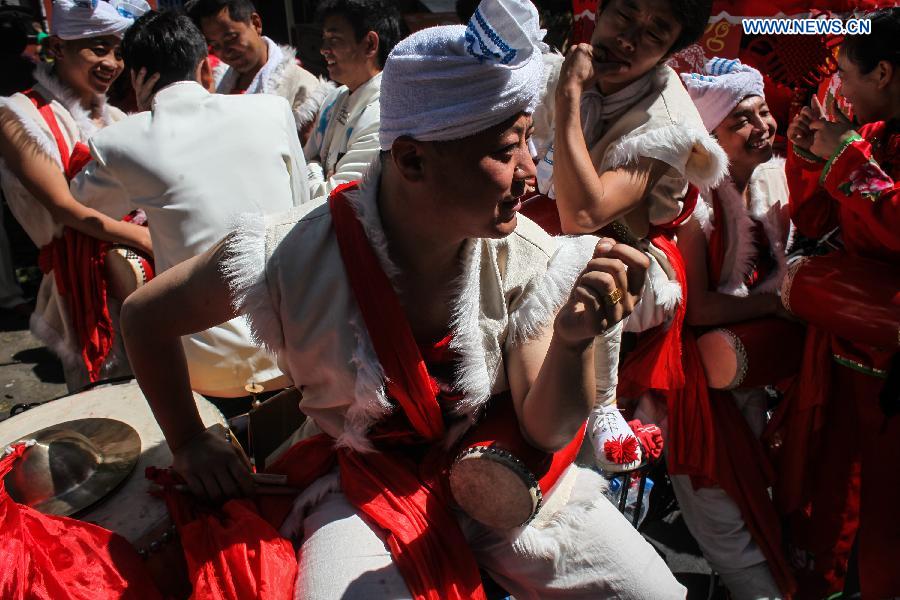 Annual Carnival of Culture festival celebrated in Berlin