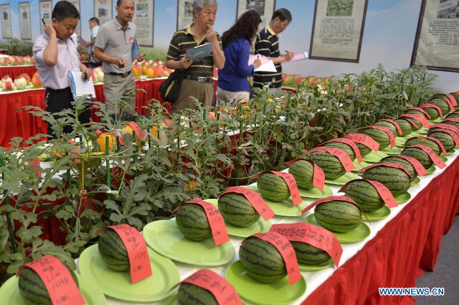 27th Daxing Watermelon Festival held in Beijing