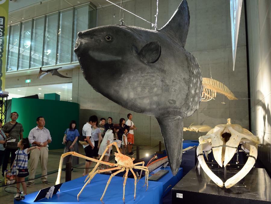 'Mega Dinosaur Exhibition 2015' ongoing in Japan's Chiba