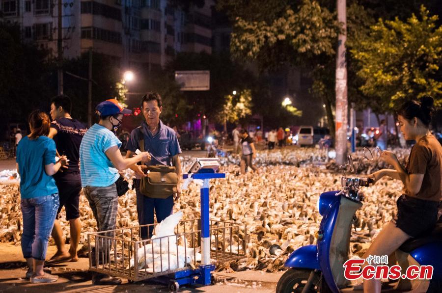 People in Guangxi province mark Ghost Festival by eating duck