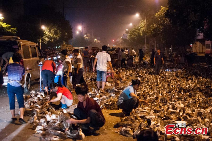 People in Guangxi province mark Ghost Festival by eating duck