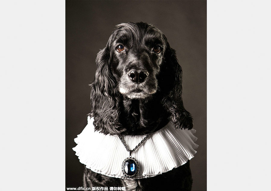 Photographer presents 'aristopets'