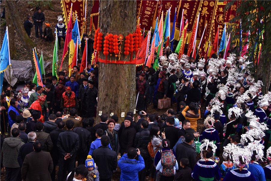 Guizhou villagers worship trees to protect environment