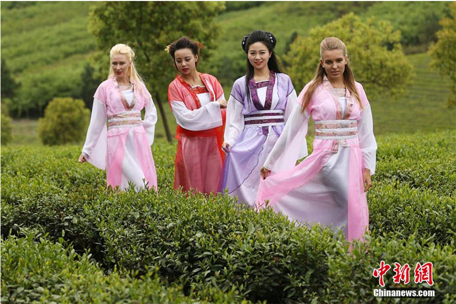 Chinese, foreigners pick tea leaves in ancient costumes