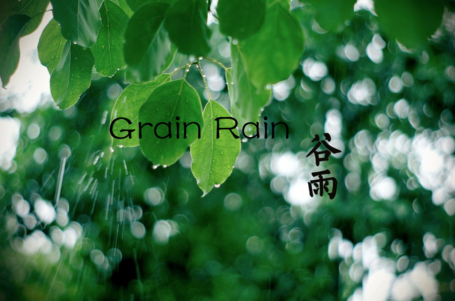 24 solar terms: Five things you may not know about Grain Rain