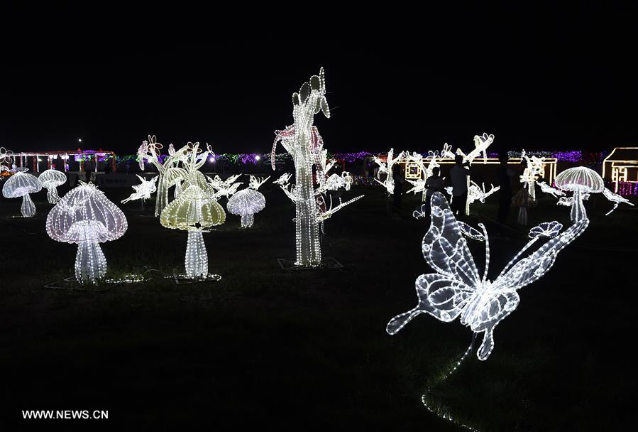 Tourists enjoy light art festival in China's Taiyuan