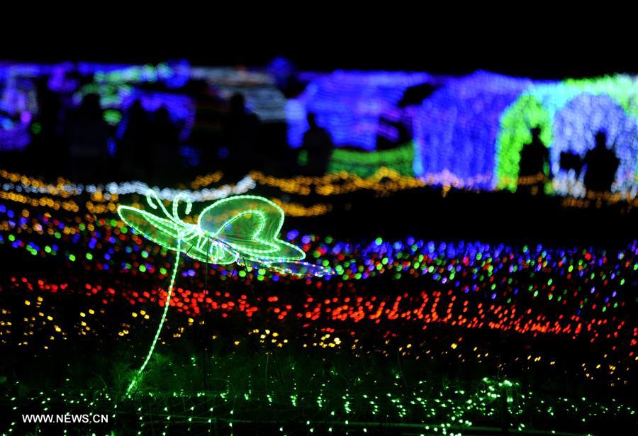 Tourists enjoy light art festival in China's Taiyuan